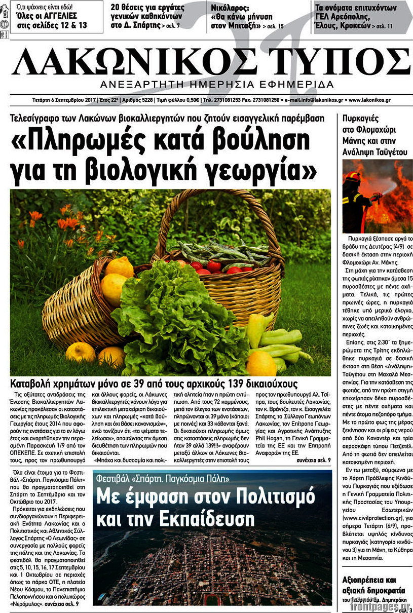 Λακωνικός Τύπος