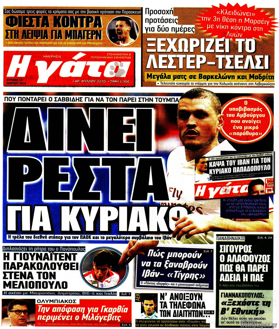 Η Γάτα