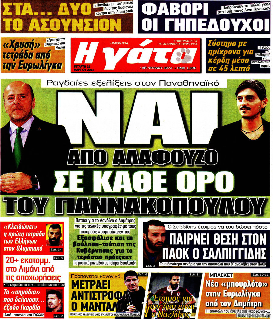 Η Γάτα