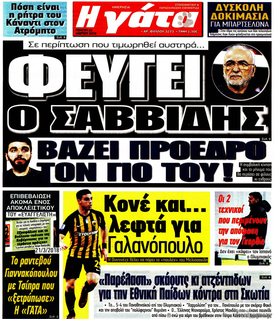 Η Γάτα