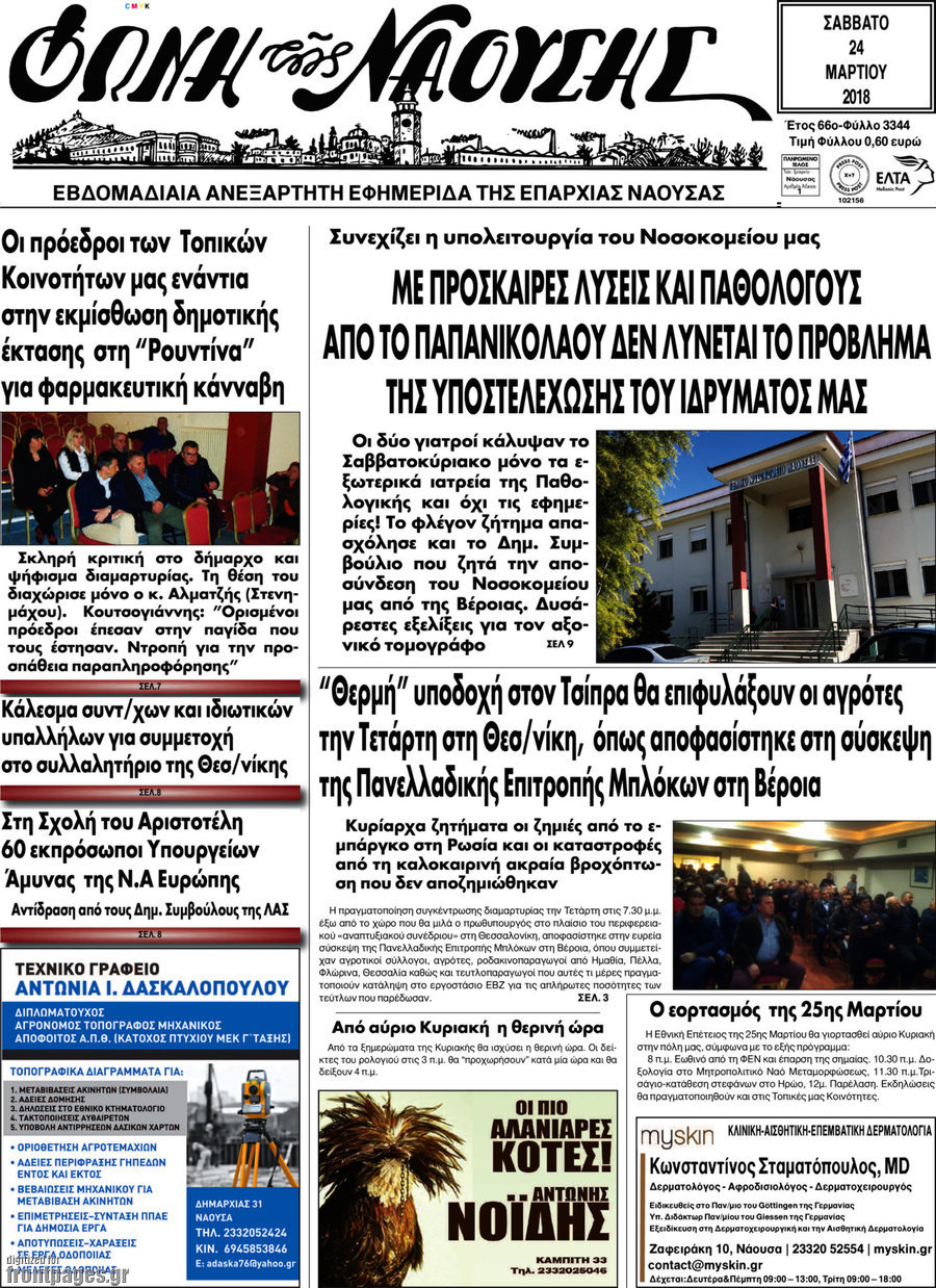 Φωνή Ναούσης