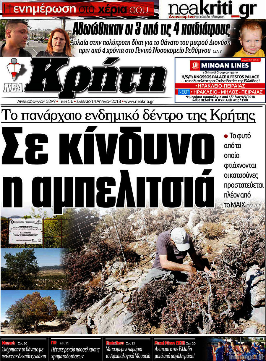 Νέα Κρήτη