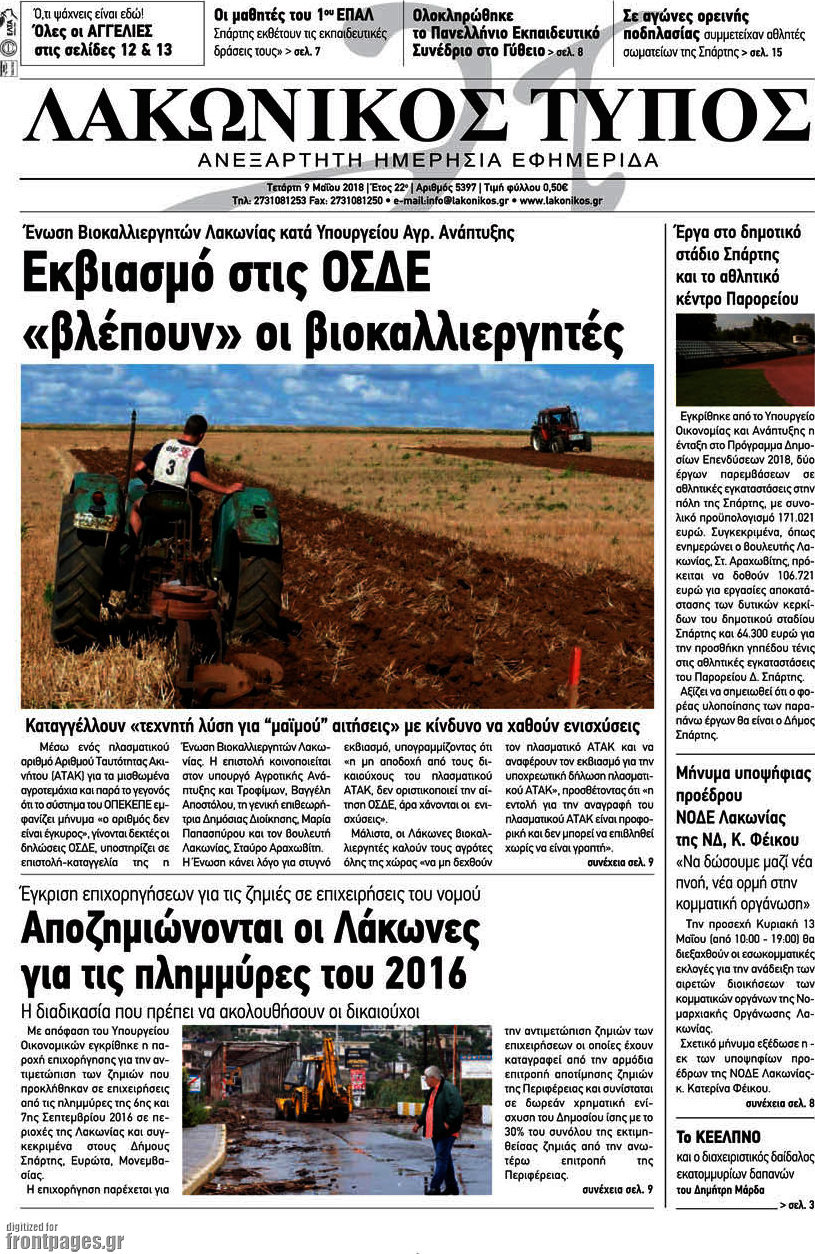 Λακωνικός Τύπος