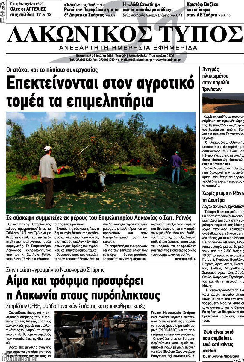 Λακωνικός Τύπος