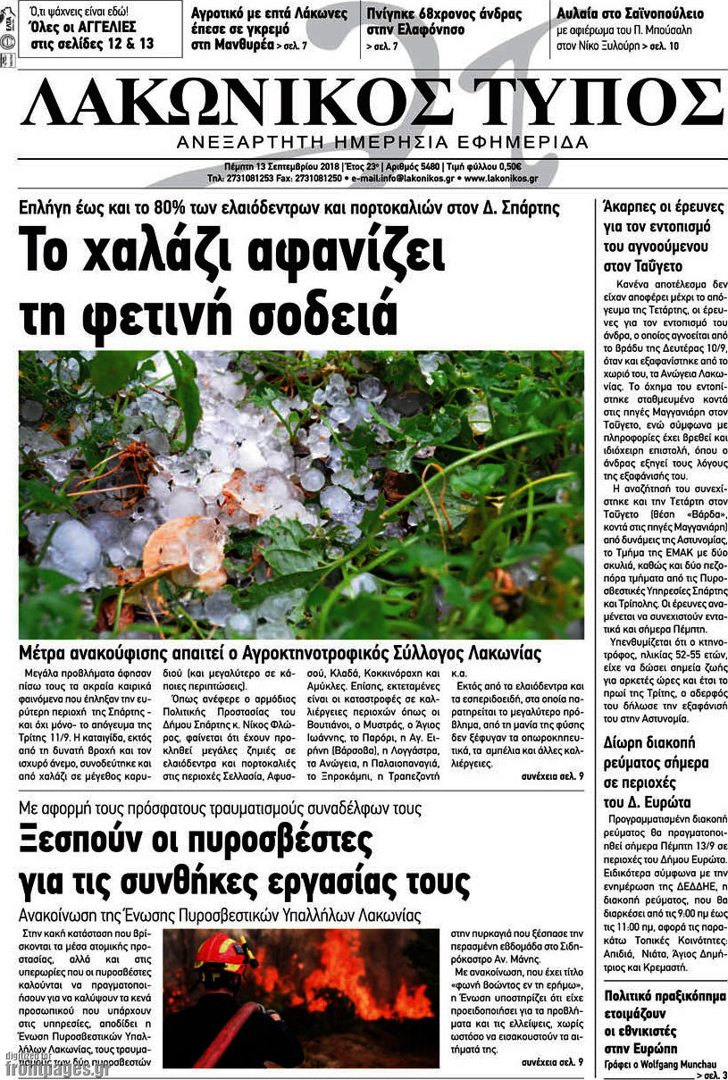 Λακωνικός Τύπος