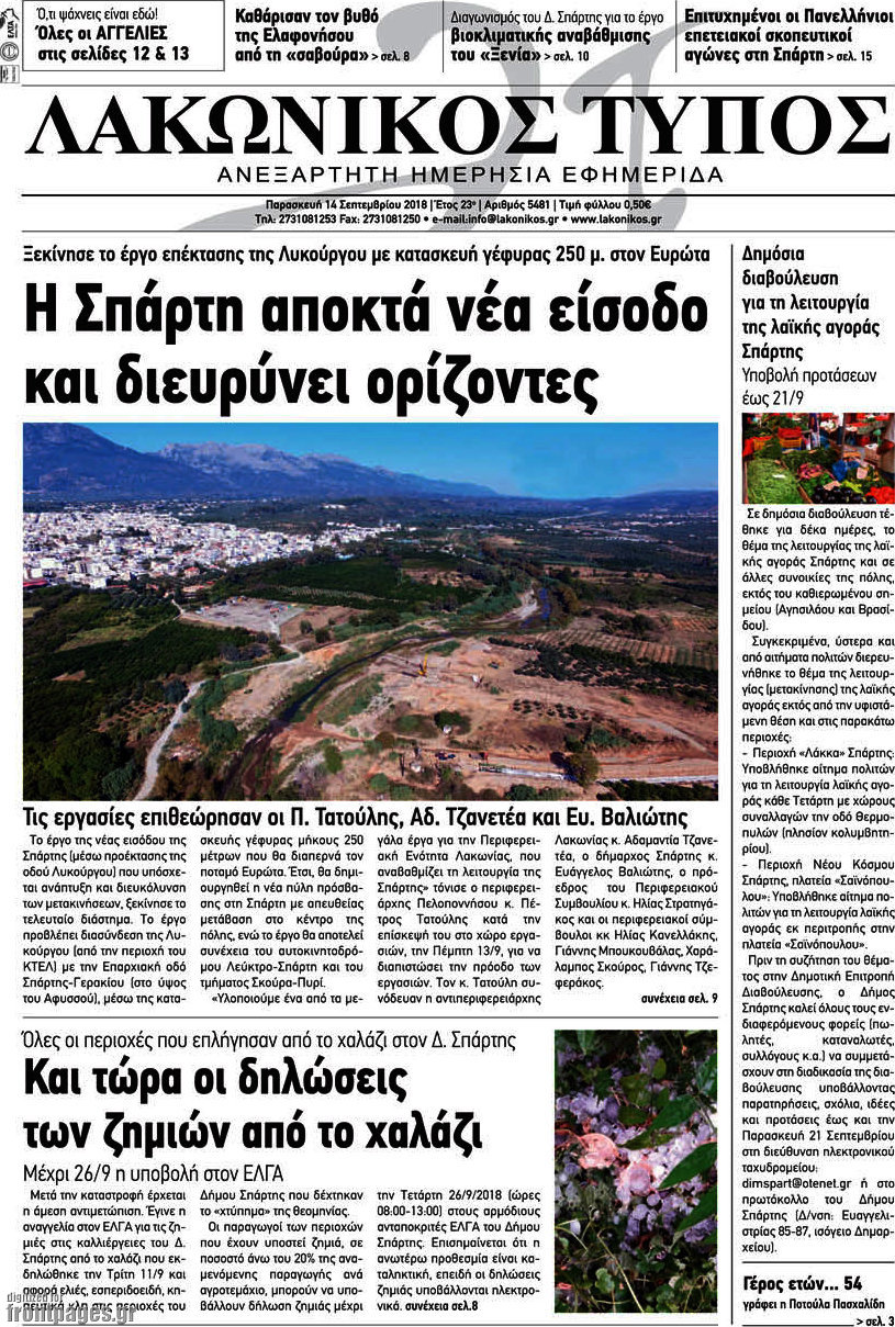 Λακωνικός Τύπος