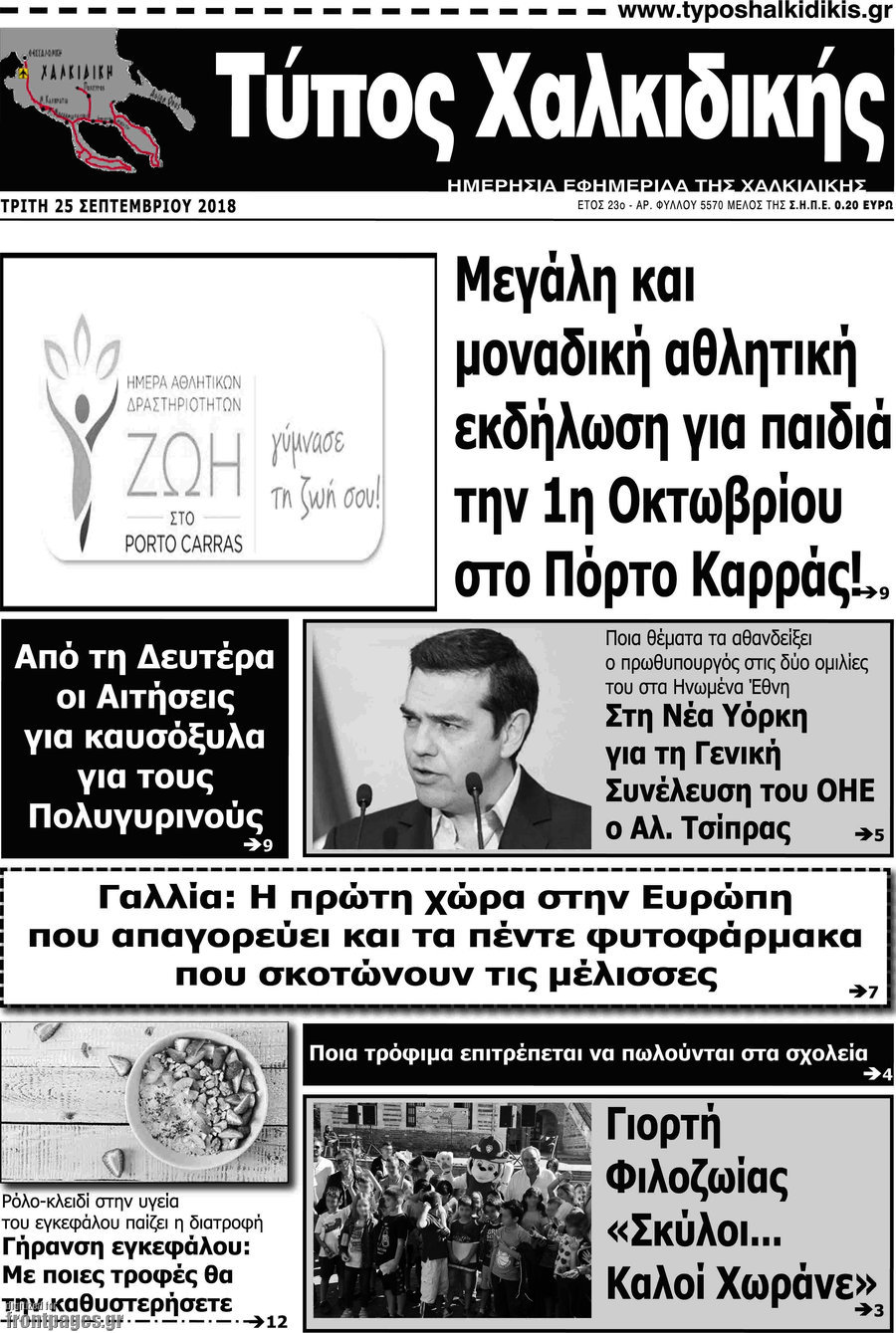 Τύπος Χαλκιδικής