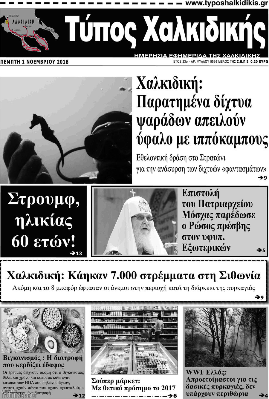 Τύπος Χαλκιδικής