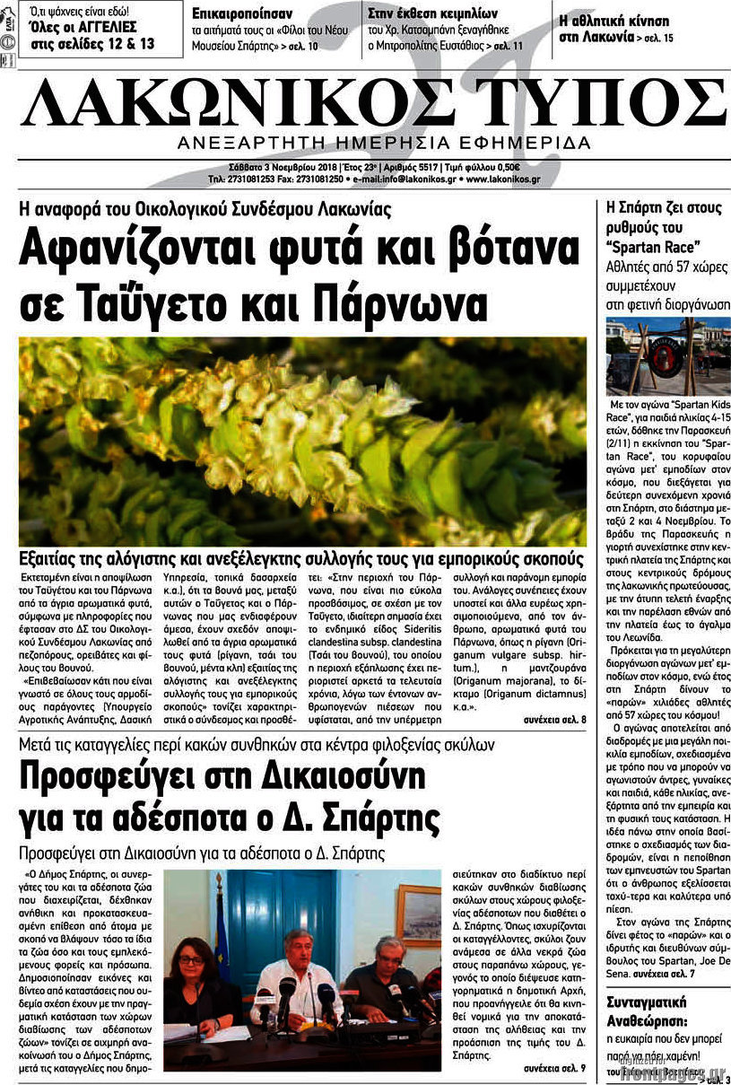 Λακωνικός Τύπος