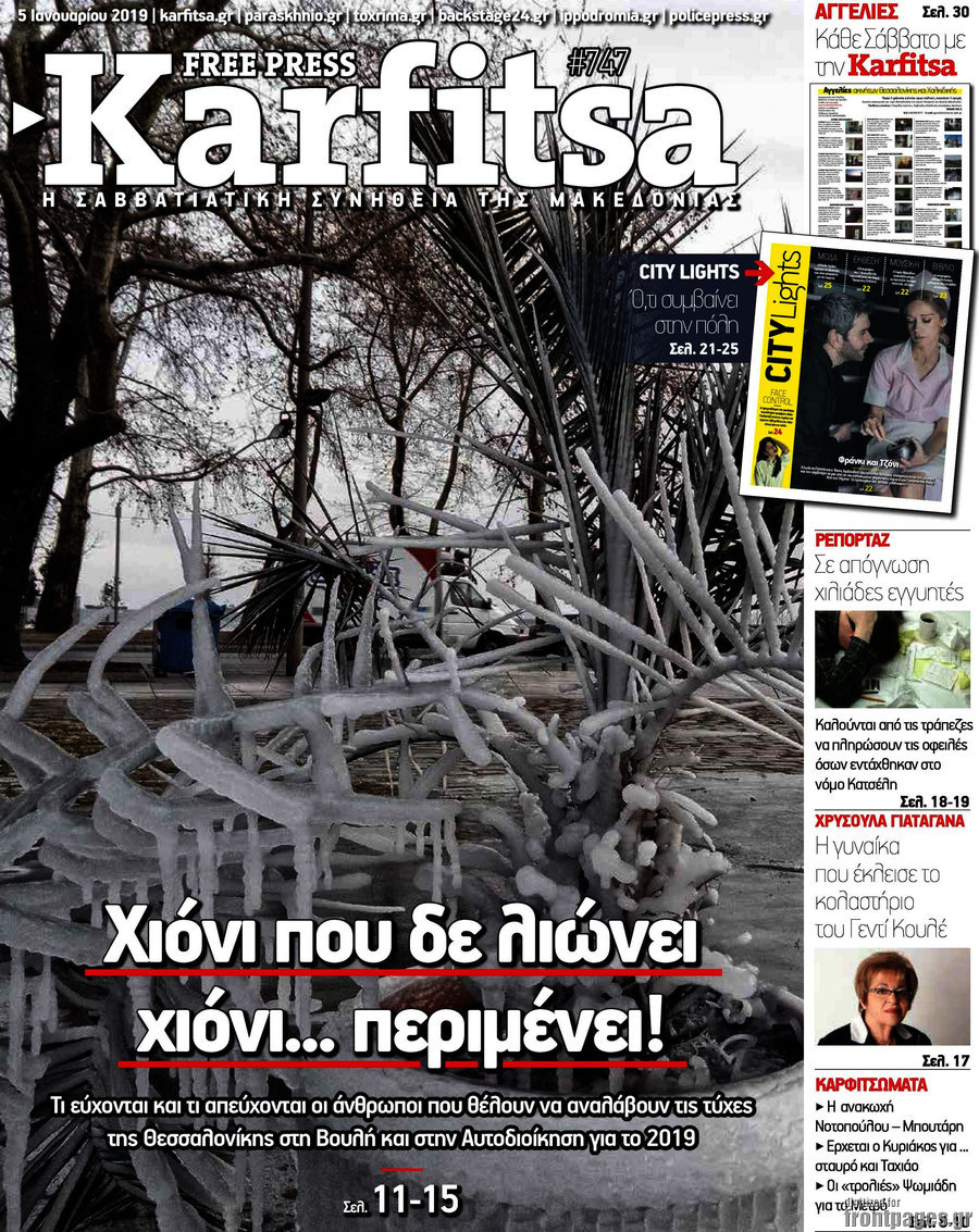Karfitsa