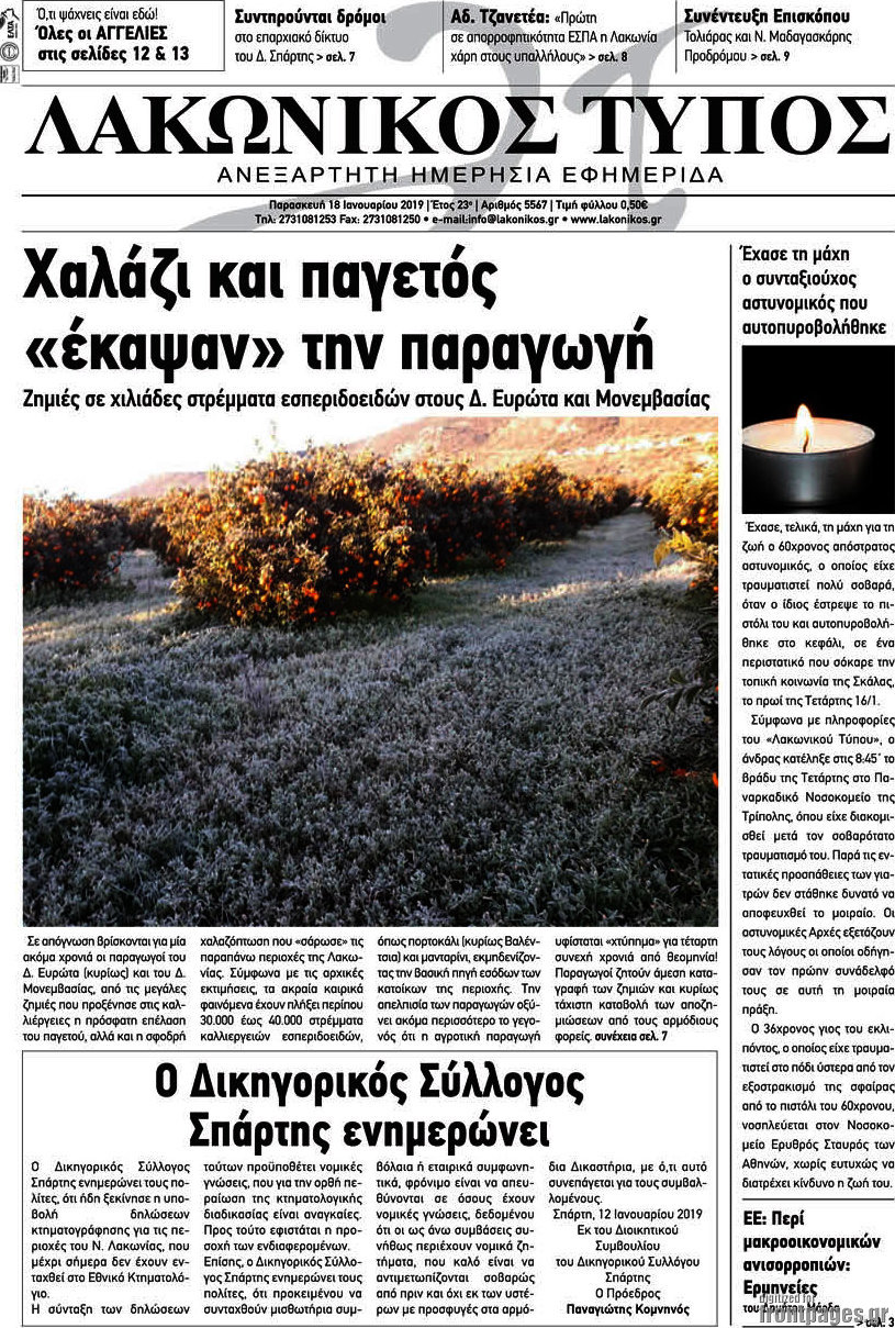 Λακωνικός Τύπος