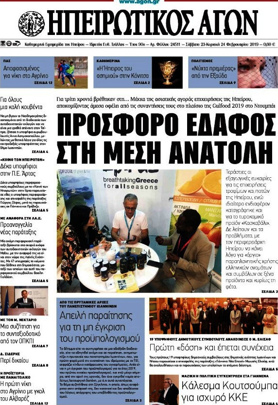 Ηπειρωτικός Αγών