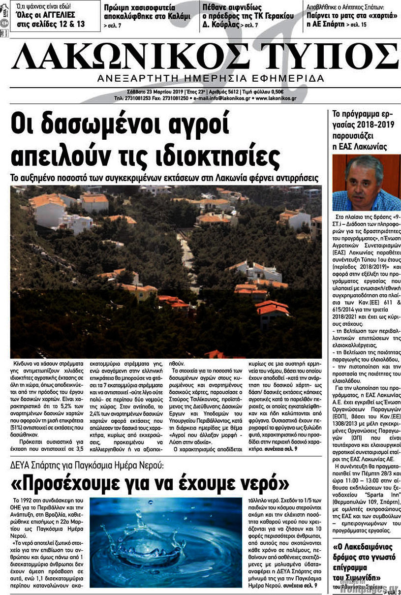 Λακωνικός Τύπος