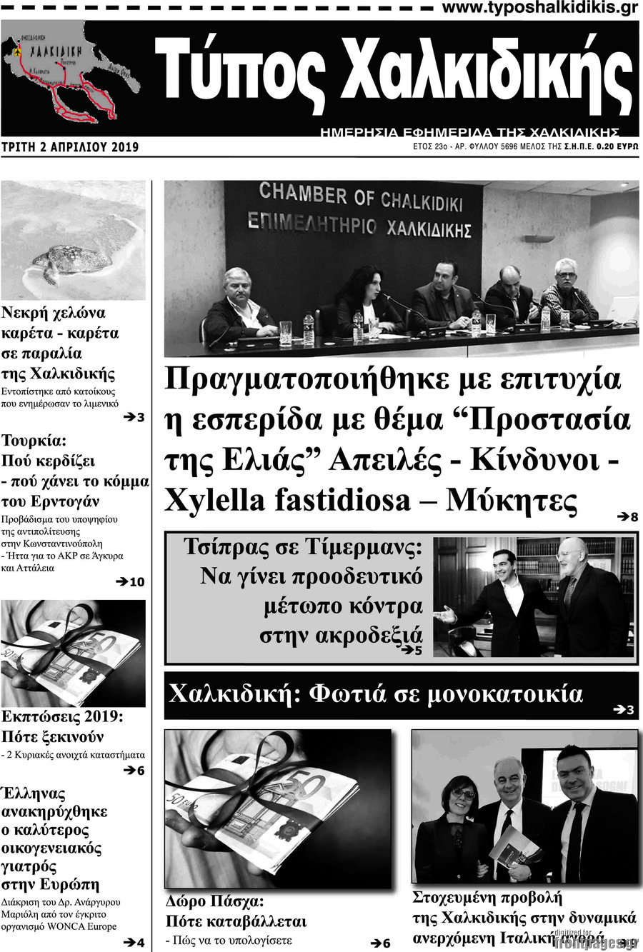 Τύπος Χαλκιδικής