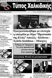 /Τύπος Χαλκιδικής