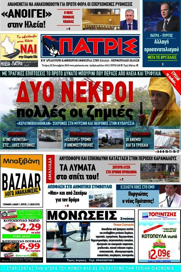 Πατρίς