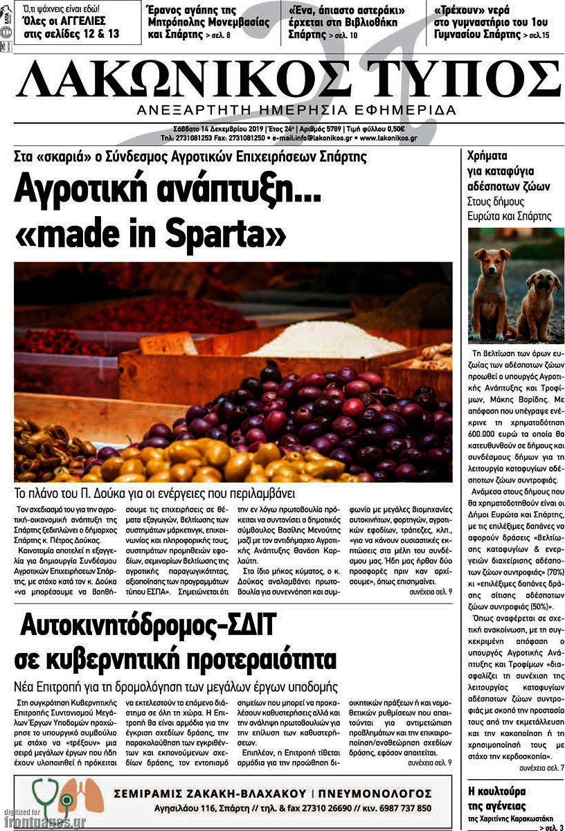 Λακωνικός Τύπος