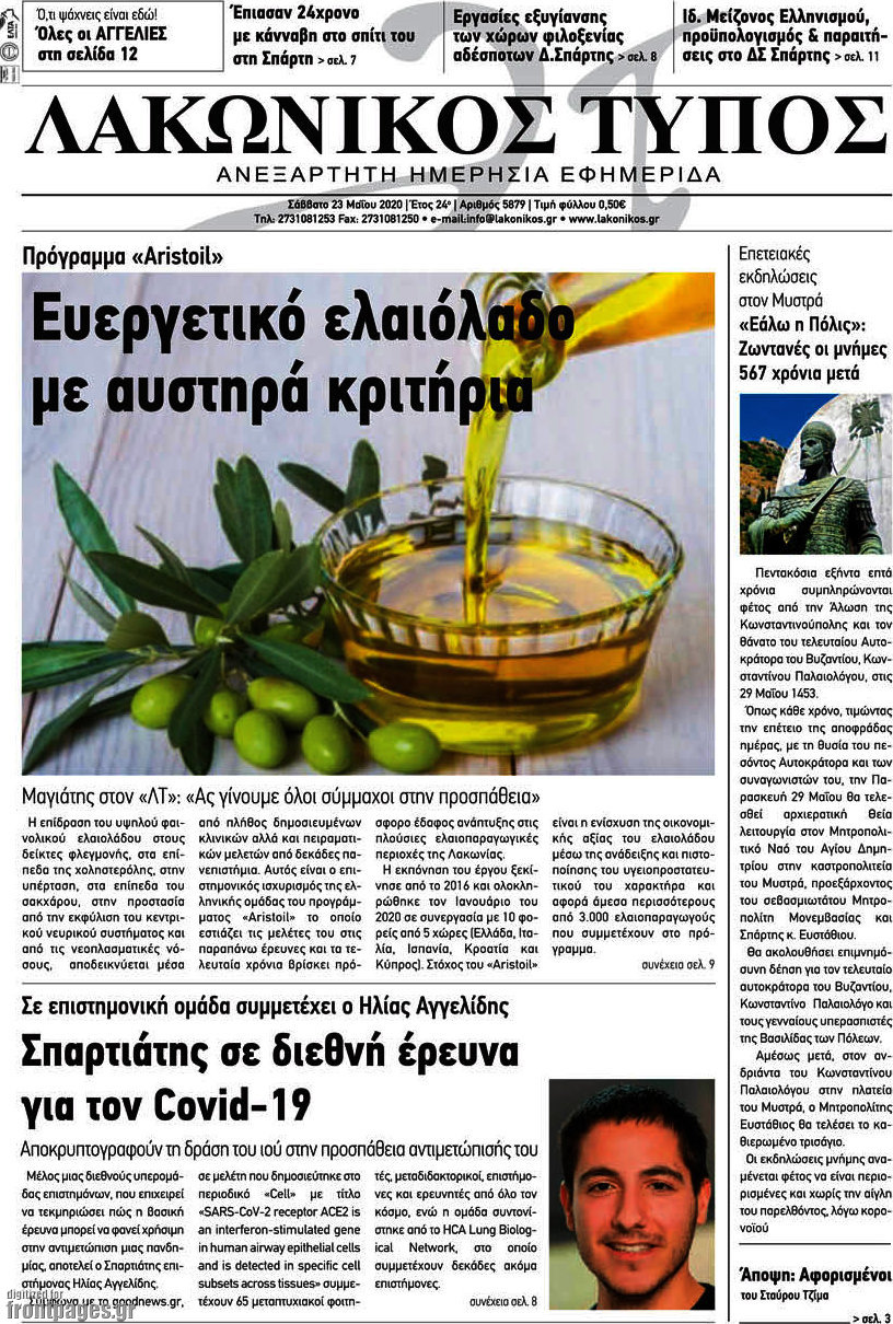 Λακωνικός Τύπος