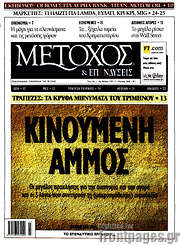 /Μέτοχος