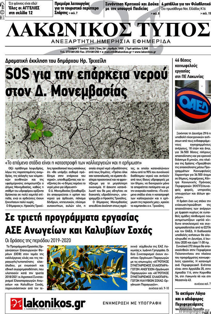 Λακωνικός Τύπος
