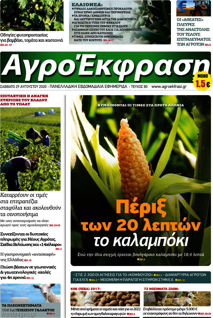 Αγροέκφραση