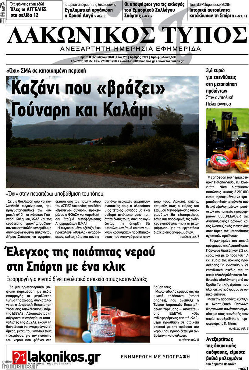 Λακωνικός Τύπος