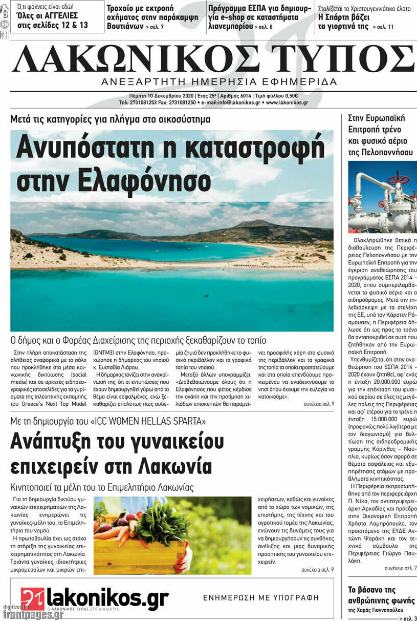 Λακωνικός Τύπος