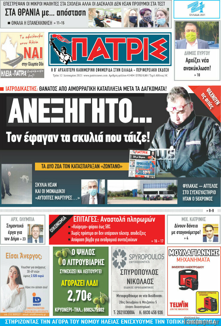 Πατρίς