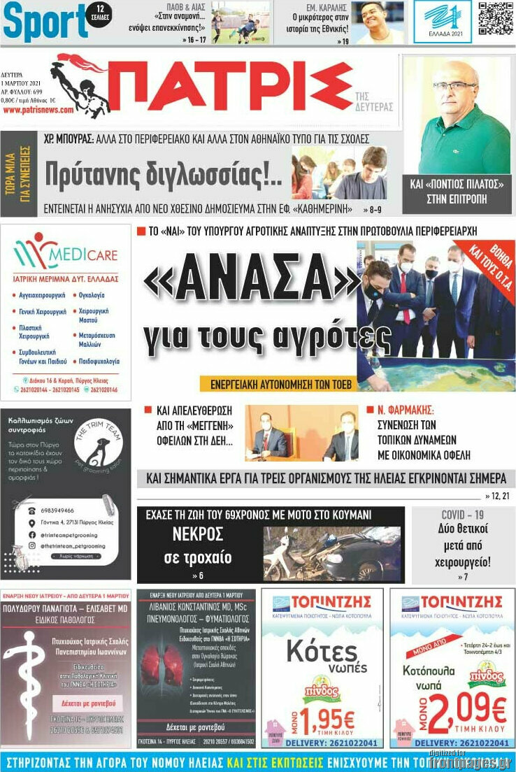 Πατρίς