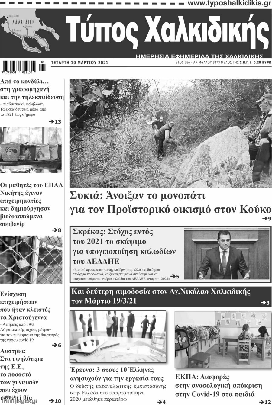 Τύπος Χαλκιδικής
