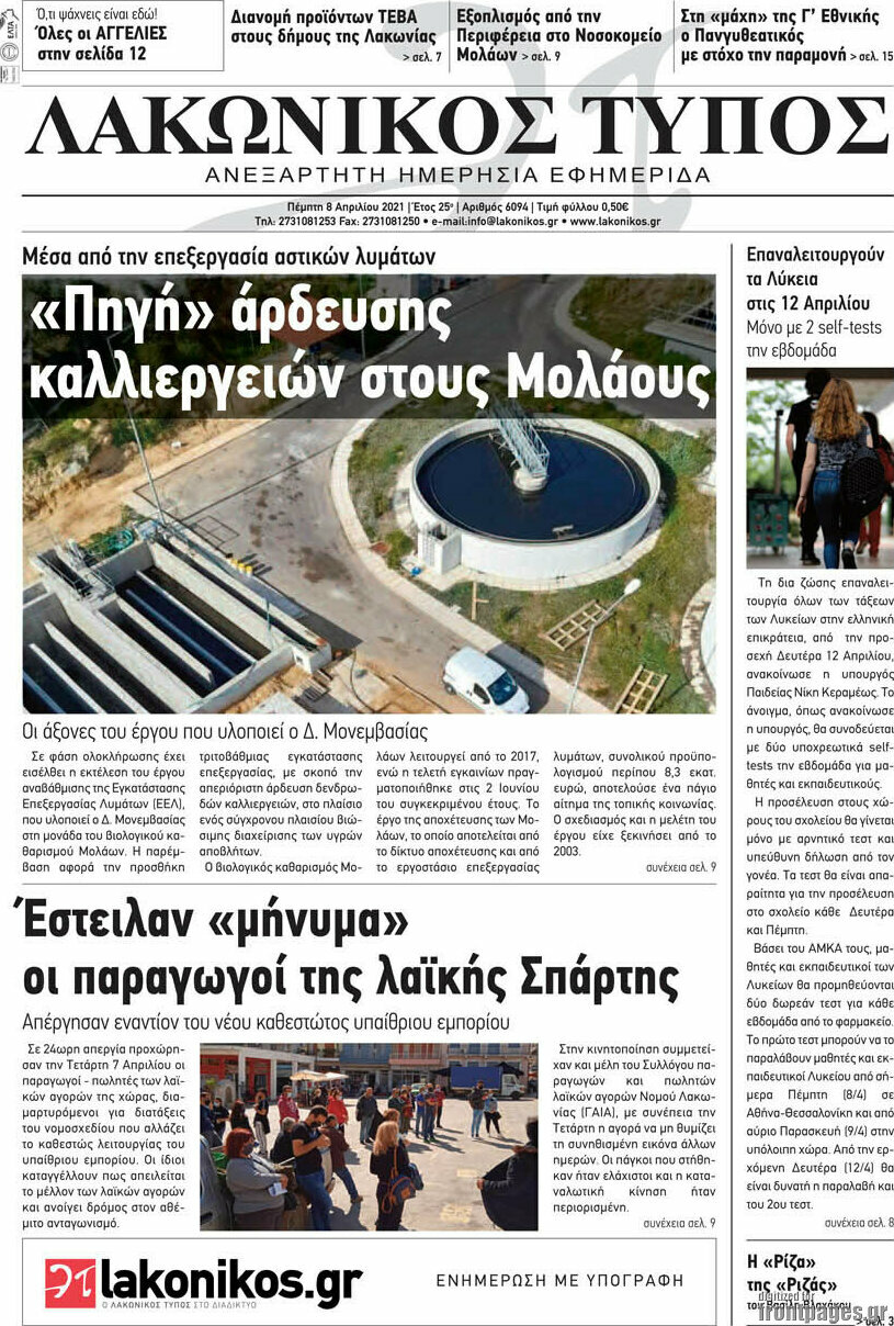 Λακωνικός Τύπος