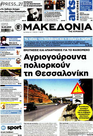 Μακεδονία: Αγριογούρουνα πολιορκούν τη Θεσσαλονίκη