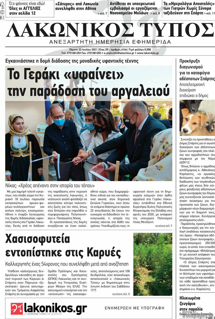 Λακωνικός Τύπος