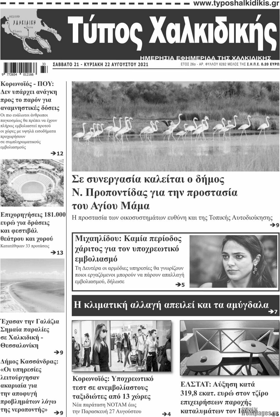 Τύπος Χαλκιδικής