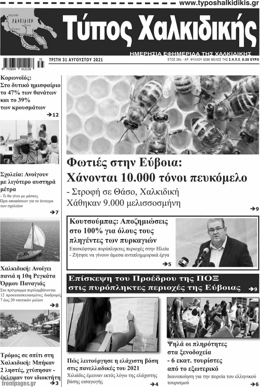 Τύπος Χαλκιδικής