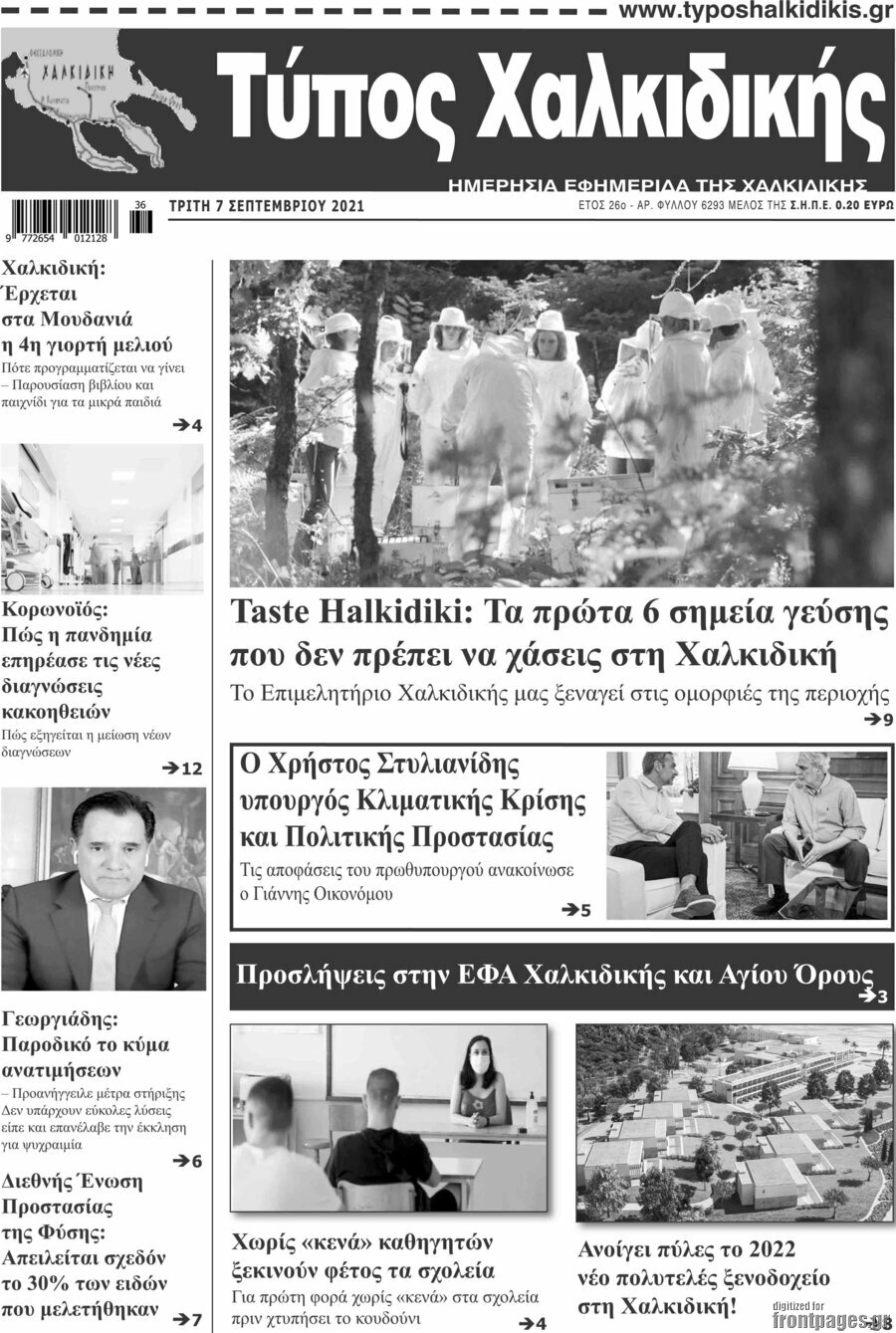 Τύπος Χαλκιδικής