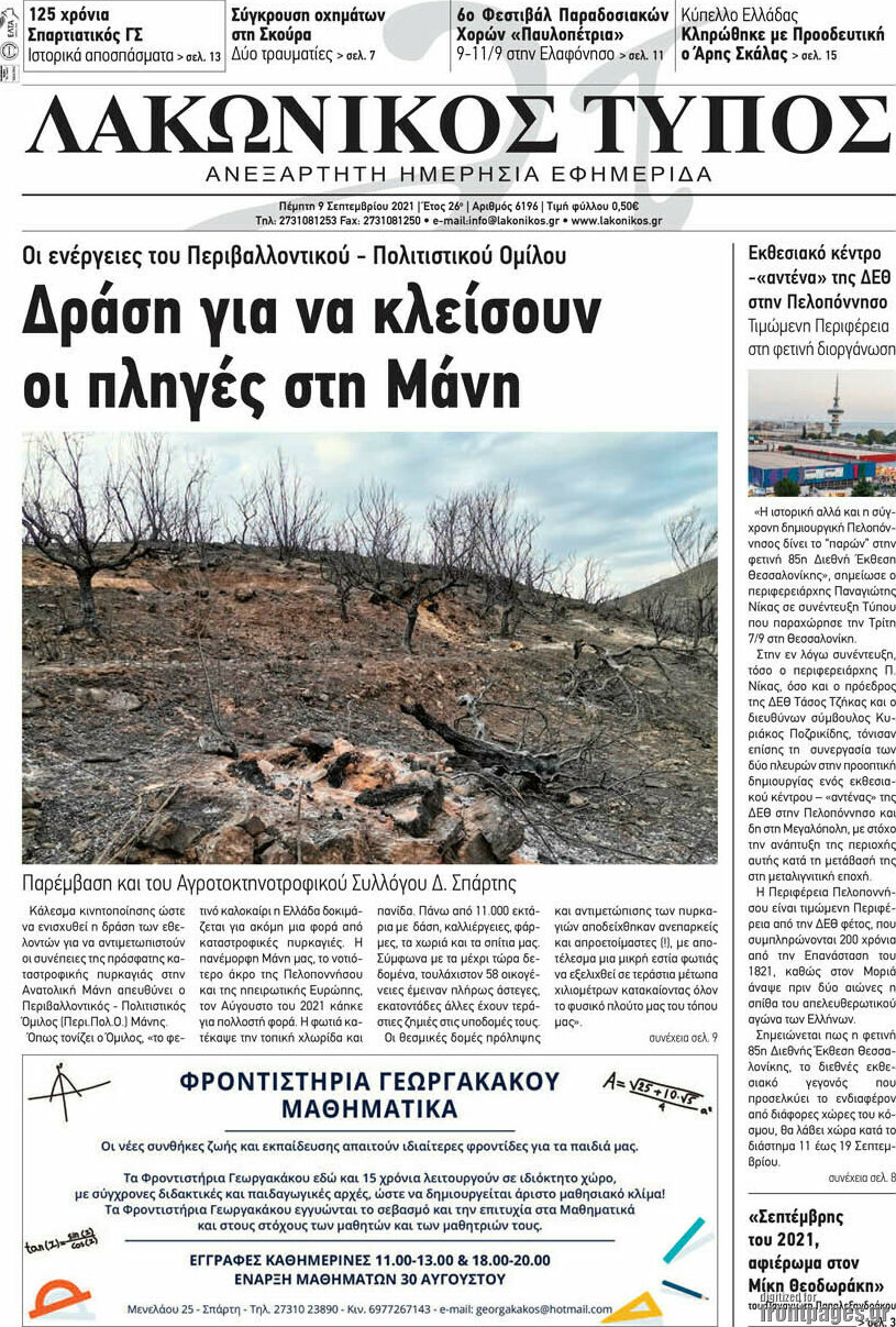 Λακωνικός Τύπος