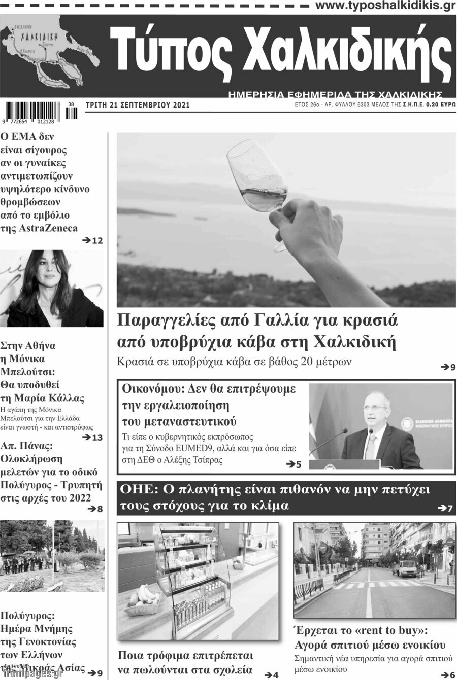 Τύπος Χαλκιδικής