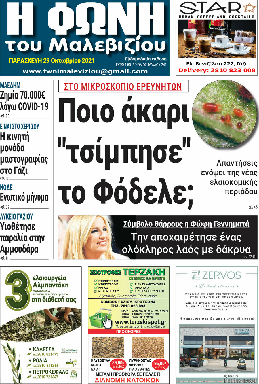 Φωνή του Μαλεβιζίου