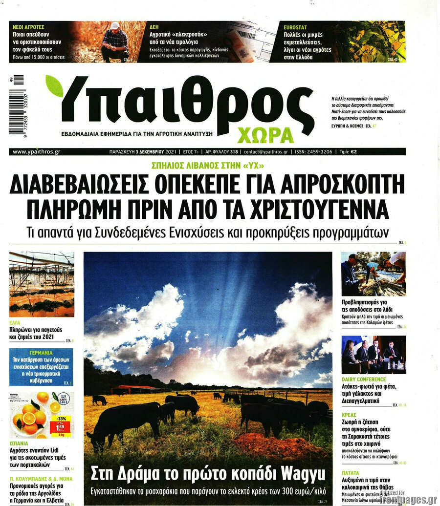 Ύπαιθρος