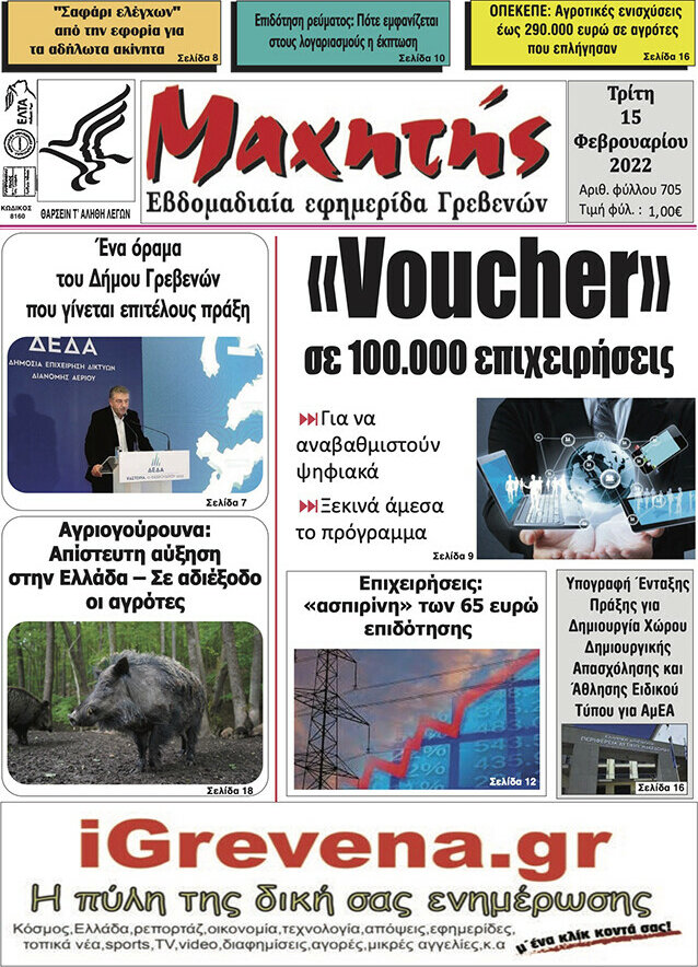 Μαχητής Γρεβενών