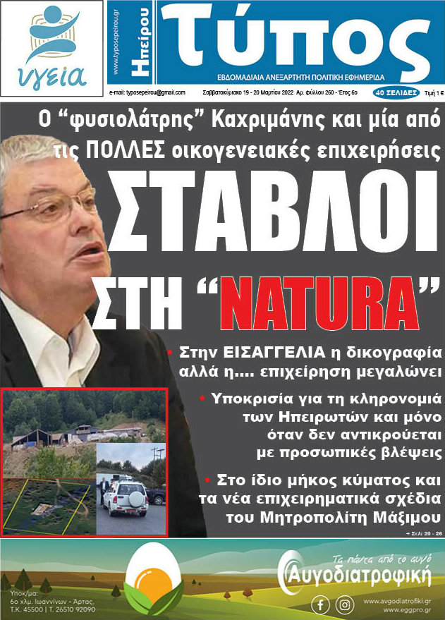Τύπος της Ηπείρου
