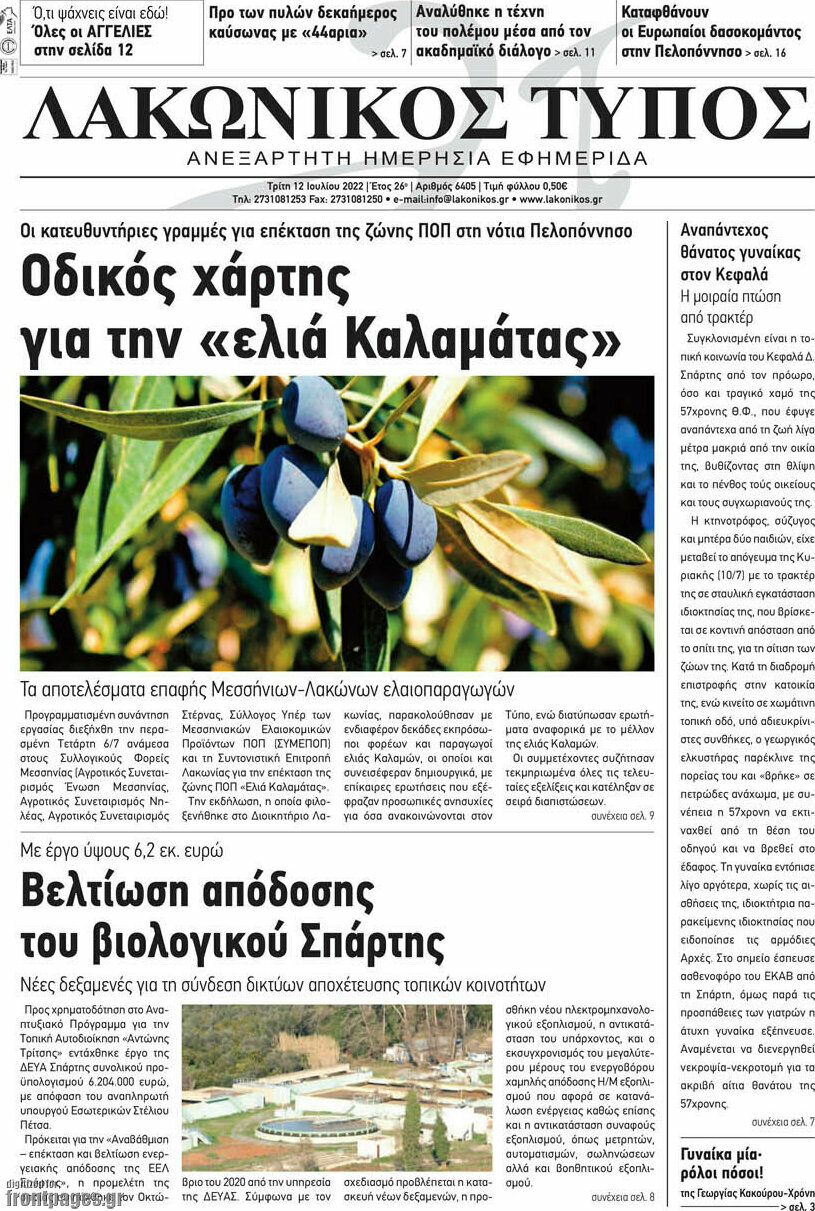 Λακωνικός Τύπος