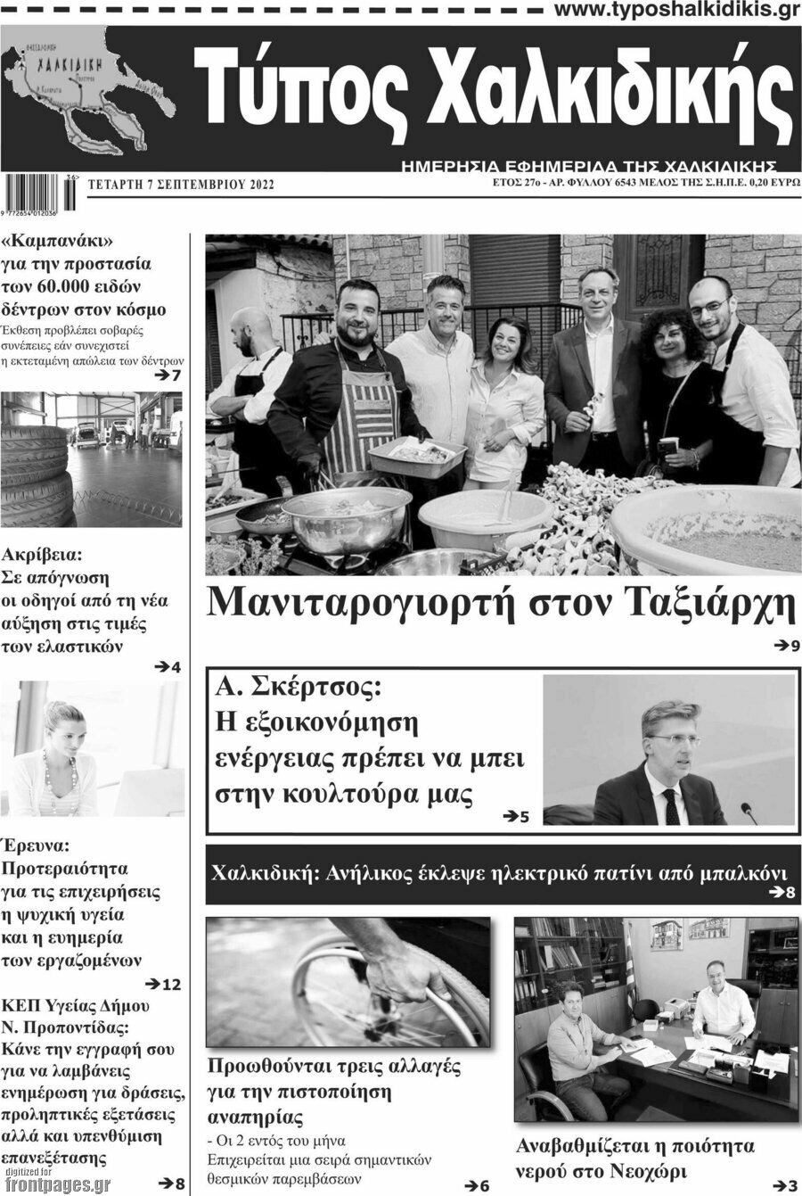 Τύπος Χαλκιδικής