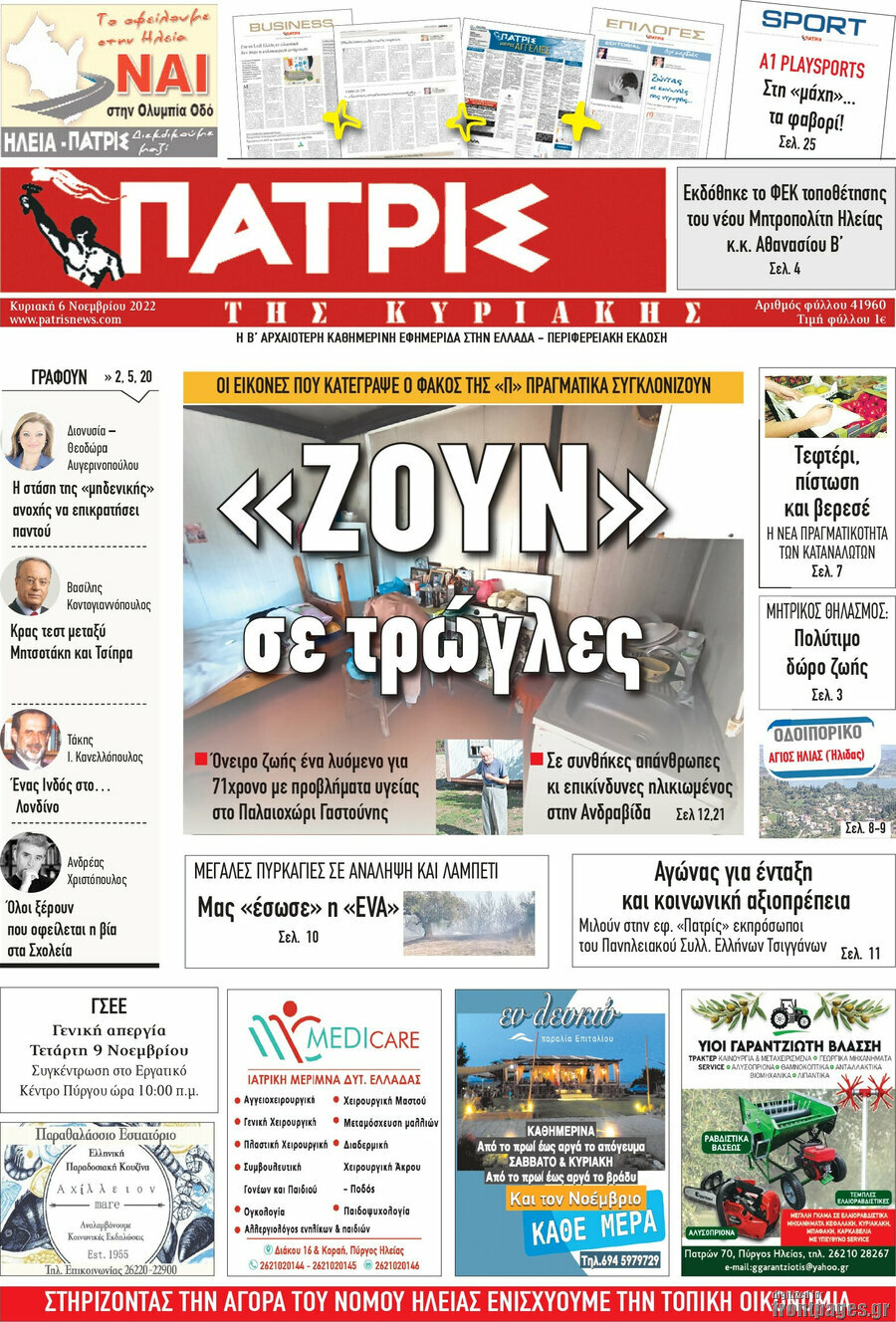 Πατρίς