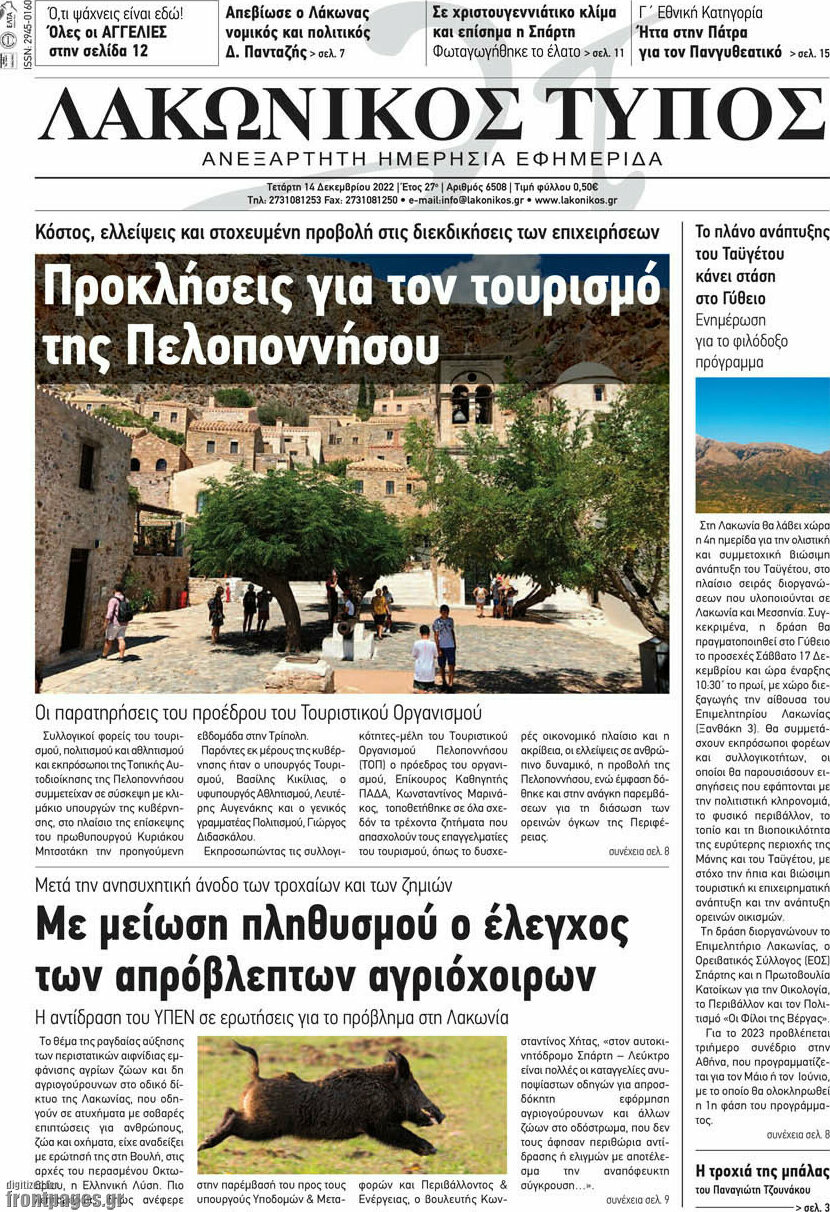 Λακωνικός Τύπος