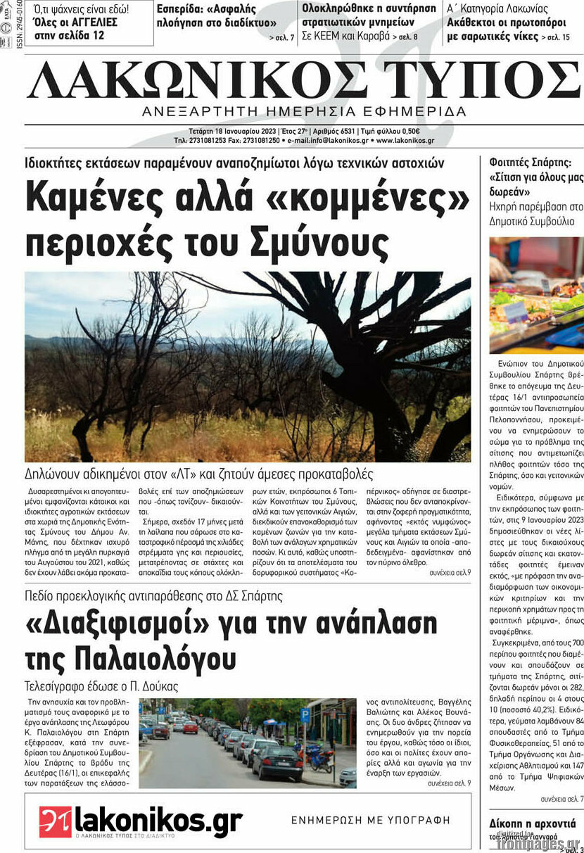 Λακωνικός Τύπος