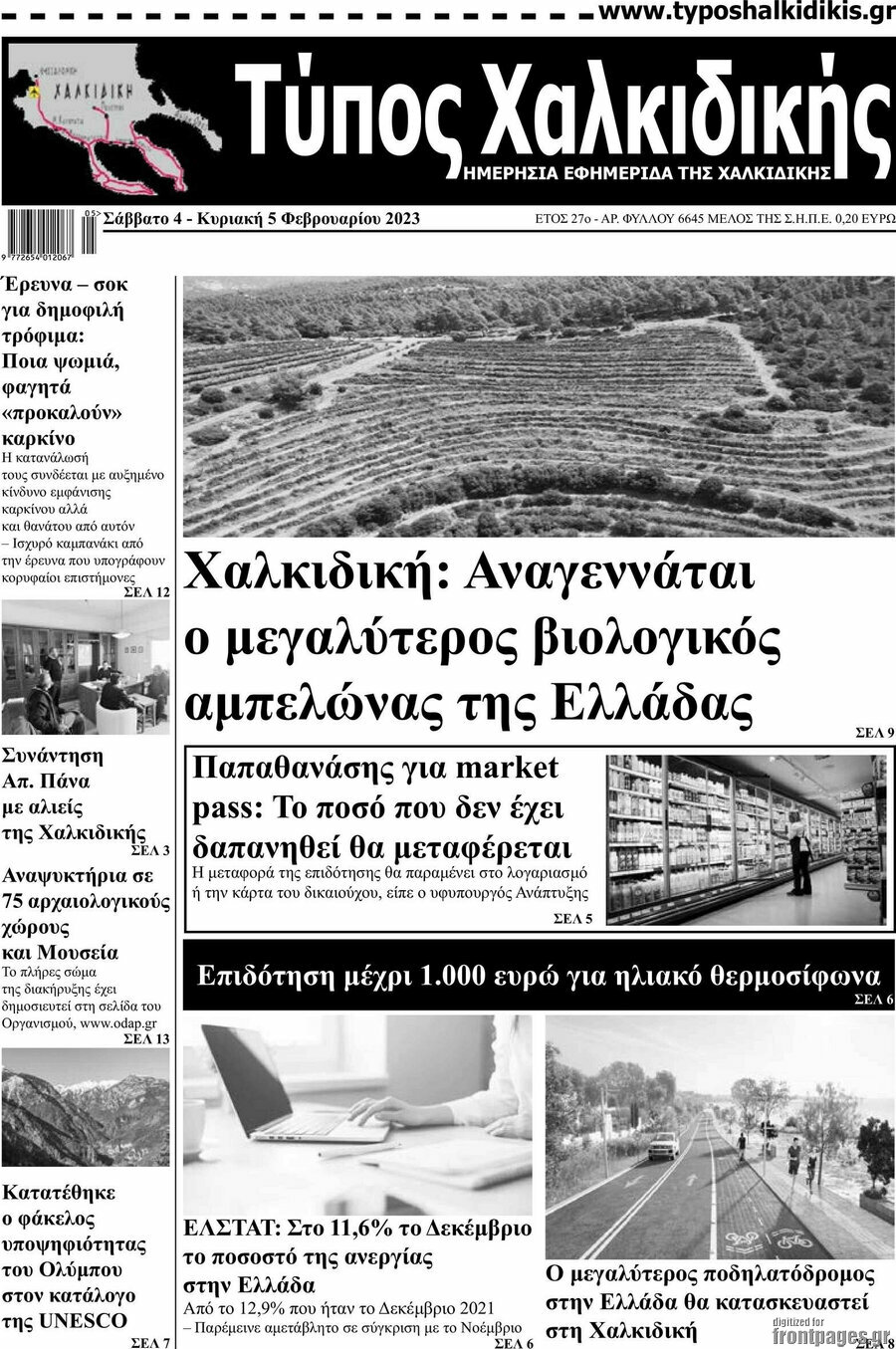 Τύπος Χαλκιδικής
