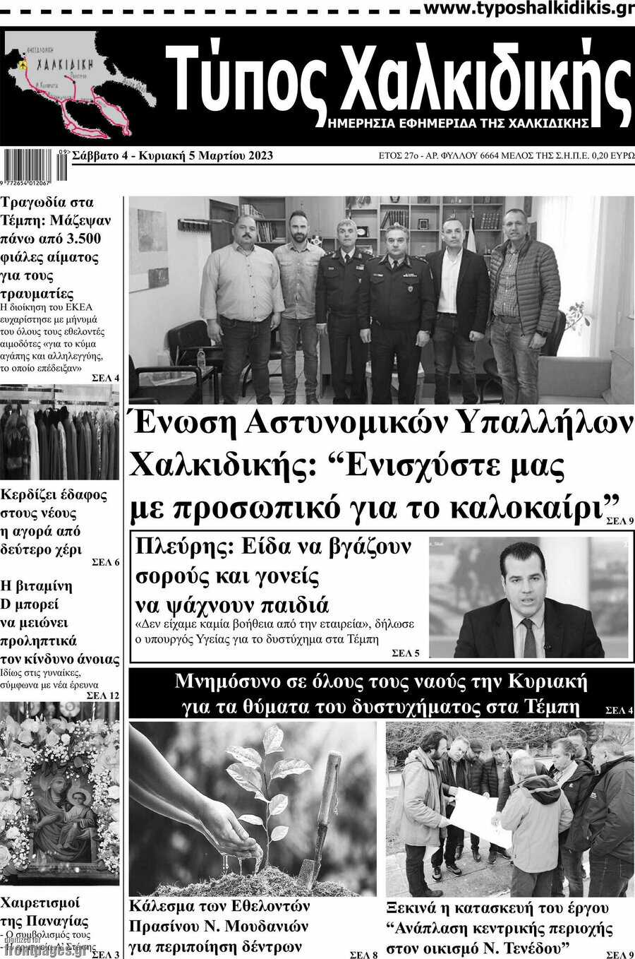 Τύπος Χαλκιδικής