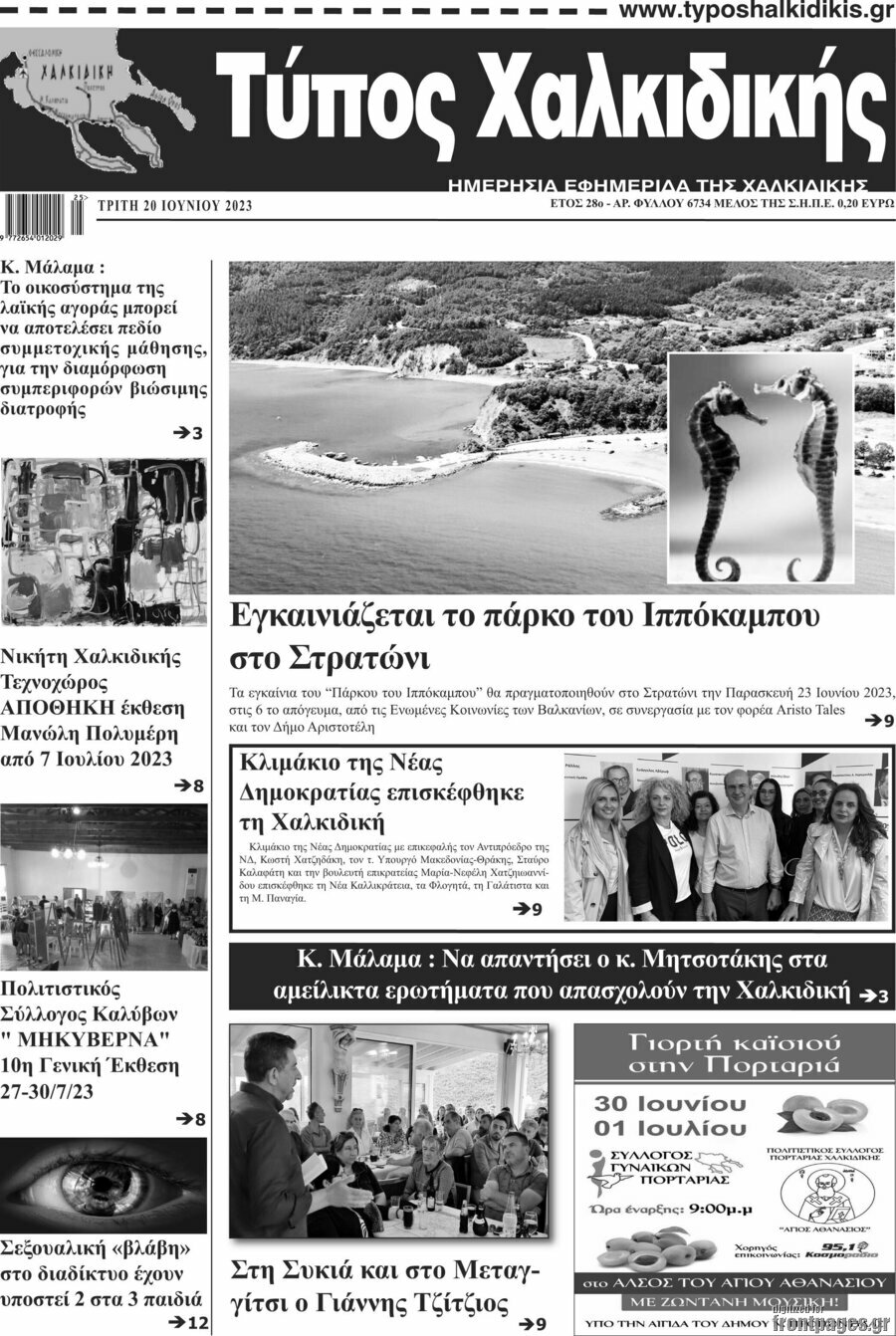 Τύπος Χαλκιδικής